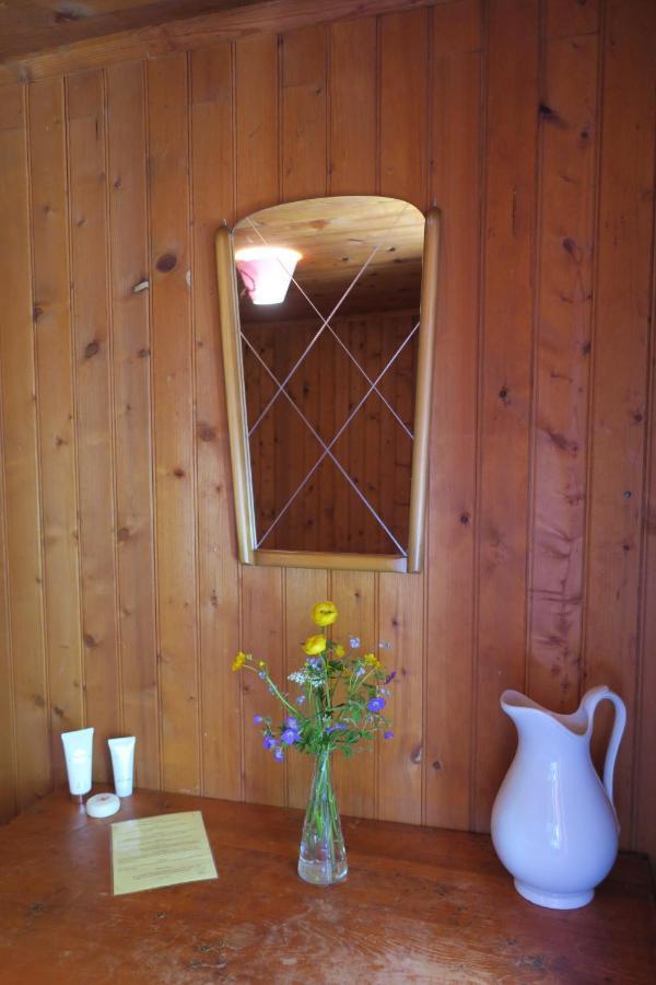 Edelweiss Mountain Guest House - 1 Hour Hike Up From Zermatt Station - On Hiking Trail - No Transport Exterior photo